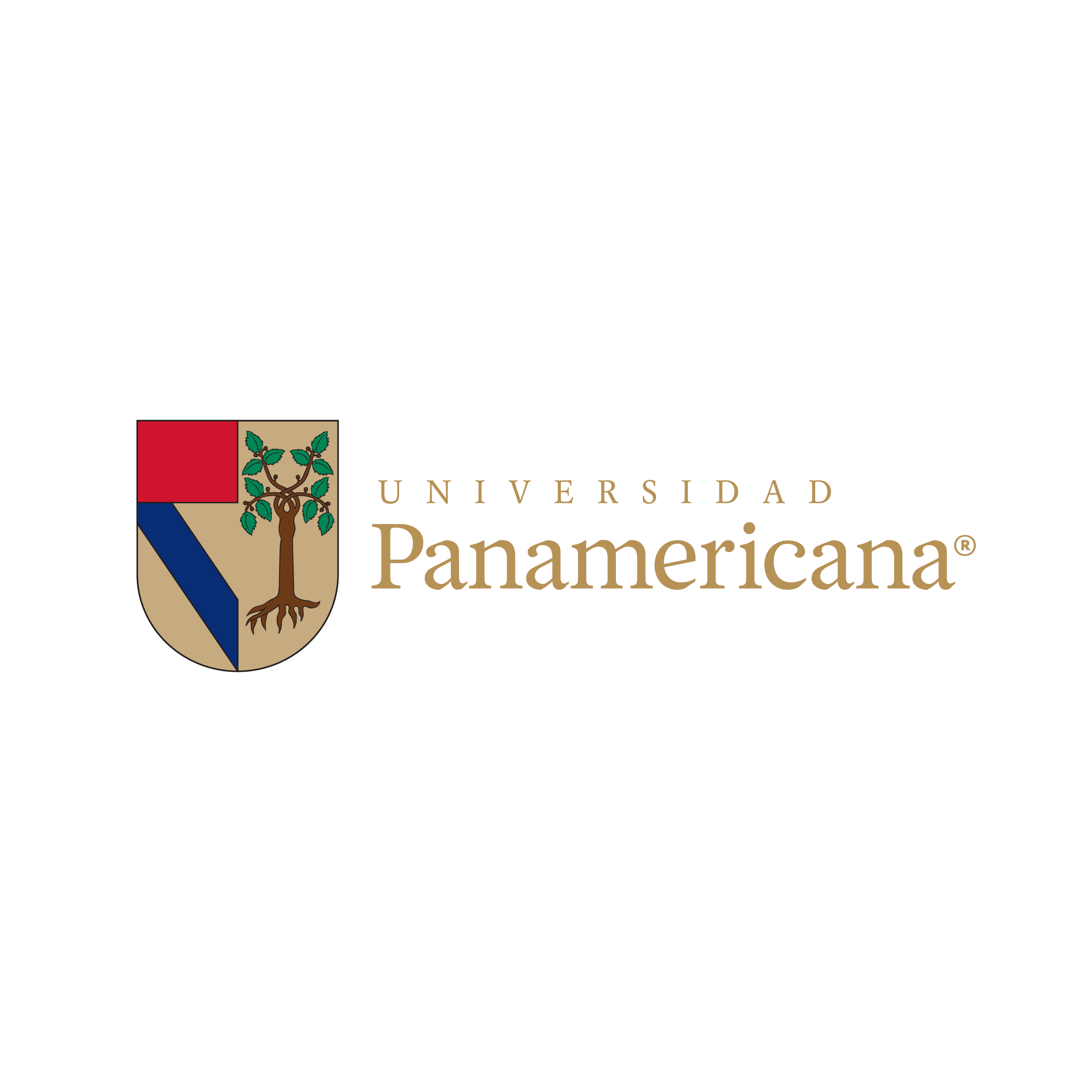 Universidad  Panamericana